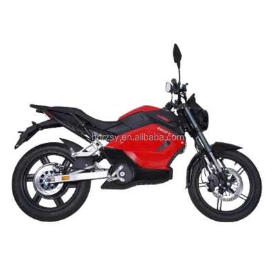 ホット 1500W 電気自動車 レースバイク クール&amp;ワイルドデザイン