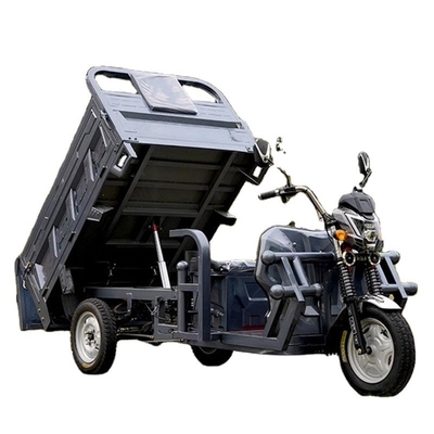 60V100Ah リチウムイオン電池 大人のための多機能電気貨物三輪車 801-1000W