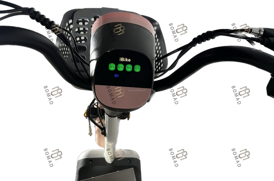 サンプル電気都市自転車 自転車 電気スクーター 自転車 最低値と鉄筋材料