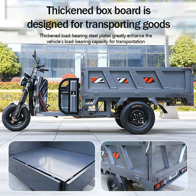 801-1000W トライサイクルの電気 3輪電気スクーター 大人向け オールチューブタイプコントローラーで制御