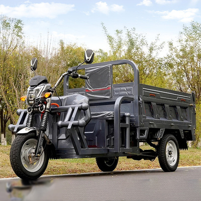 801-1000W トライサイクルの電気 3輪電気スクーター 大人向け オールチューブタイプコントローラーで制御