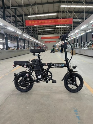 3000W トラベル電動自動車 自動運転 48V 熱電圧