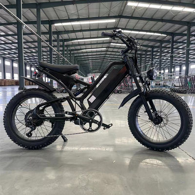 750w モーター 後部ハブ リチウムバッテリー 山地車両の電気パワートレイン