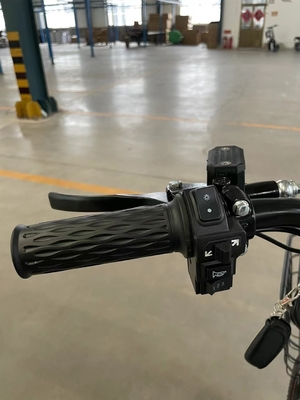 鉄筋 18 スピード 電動 自動運転 48V 大人休憩自転車 二輪動力 電動モーター