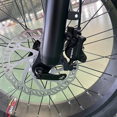 統合電池 山電 自律運転 15A 電動モーター スノーホイール 750W マウンテンオフロードバイク