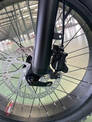電気パワー強化 20 インチ マウンテン電気自転車 18 スピードギアと 50-60 Nm トーク