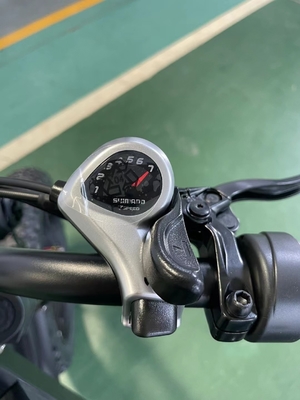電気パワー強化 20 インチ マウンテン電気自転車 18 スピードギアと 50-60 Nm トーク