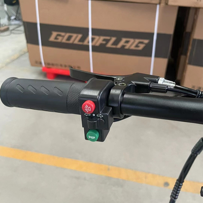 36v 蓄電池 後部ハブモーターとコンパクトなデザインの成人用折りたたみ電気自転車