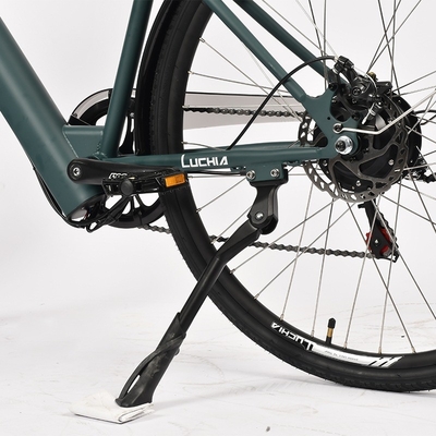 電動都市自転車 48v/36v 電動自転車 250W/350W/500W/750W/1000W