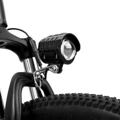 後部ハブモーター ミッドドライブモーター カスタム電気自転車 LED画面 36v 250w 電動都市自転車