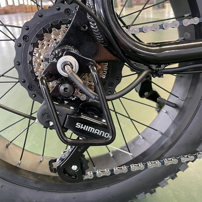 バックハブモーターと18速ギア リチウムバッテリーを持つ電気自転車