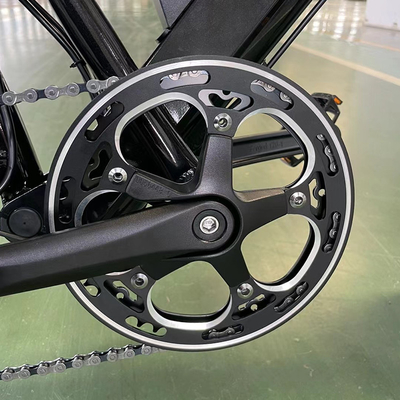 バックハブモーターと18速ギア リチウムバッテリーを持つ電気自転車