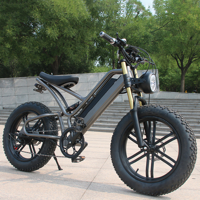 強力な 250w 電動自転車 大人 マウンテン 電気自転車 後輪ディスクブレーキ