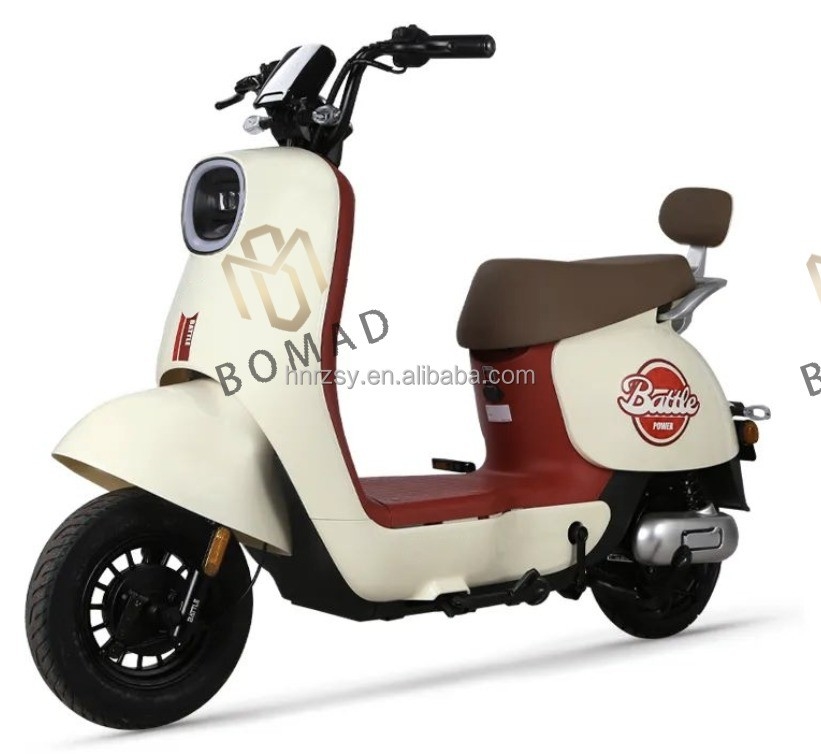 成人用電動バイク 48v 350w 電動自転車 ダウンチューブバッテリー位置と鉛酸電池