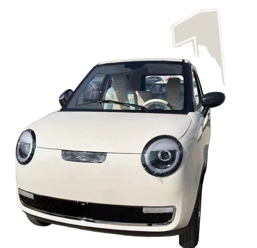 3000Wの電動四輪車 300kmの耐久性を持つ持続可能な輸送の未来