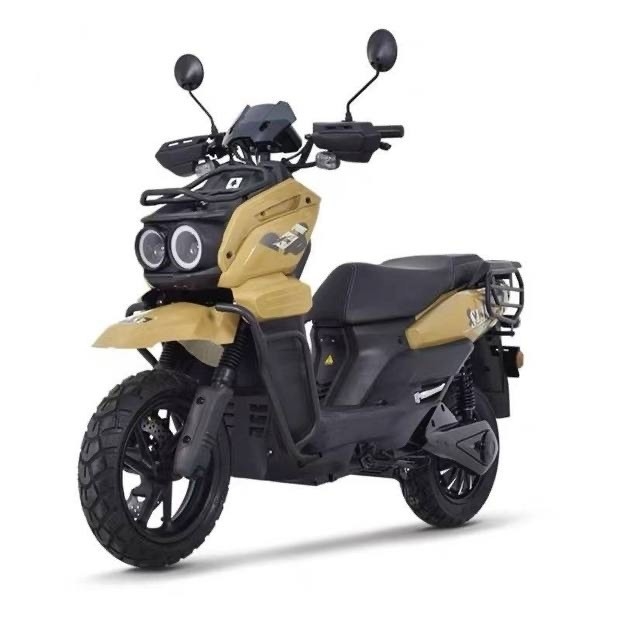 ダイレクト・テイク・モトバイク 電動高速80km/h オフロードEモーターバイク 2000Wモーターパワーと10インチホイールハブ
