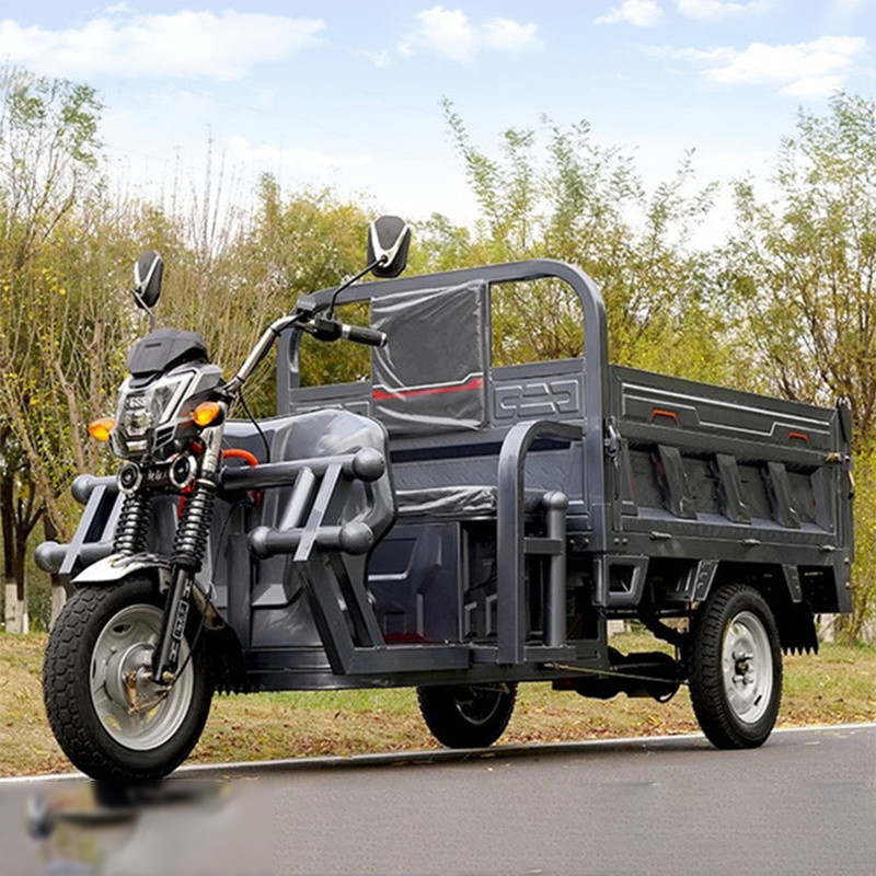 全チューブタイプコントローラ 800w/1000w/1200w/1500w 大人のためのオープントップ電動三輪車 快適なペダル支援通勤