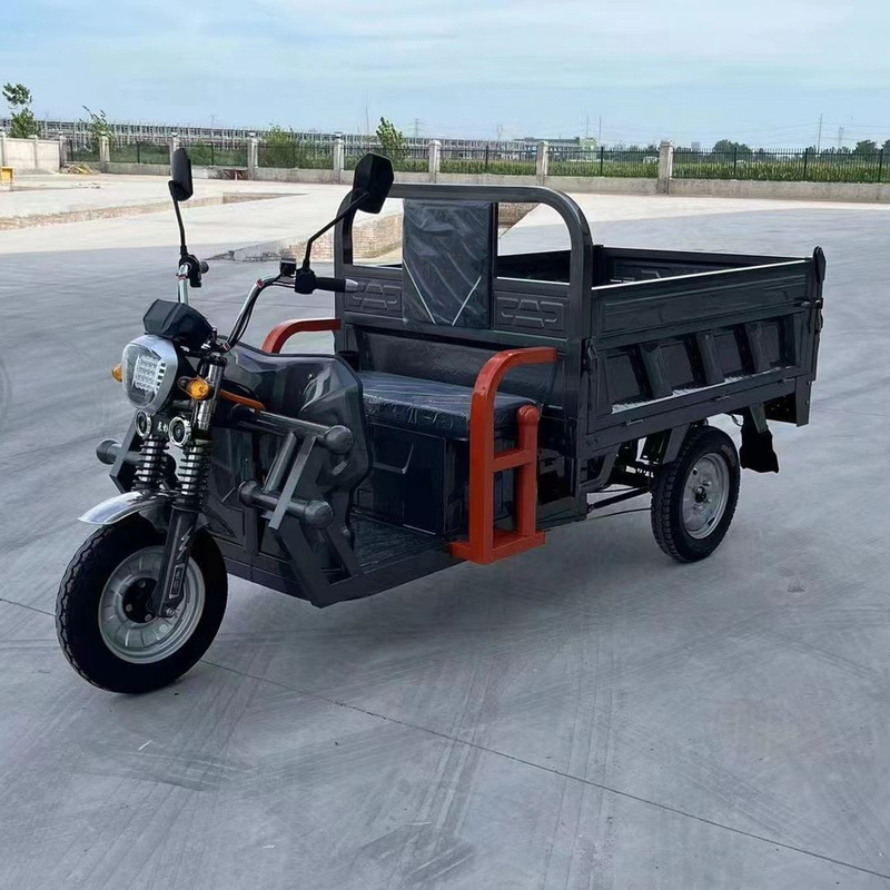801-1000W トライサイクルの電気 3輪電気スクーター 大人向け オールチューブタイプコントローラーで制御
