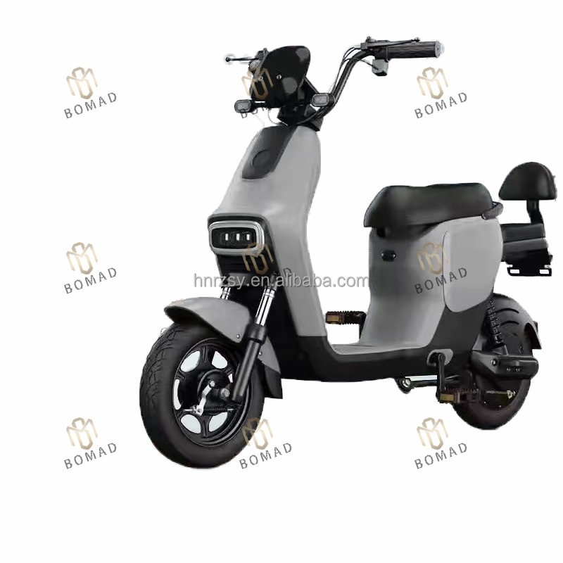 48V 高功率 電動バイク スポーツ 電動モペッド 貨物 電動バイク 便利な輸送用
