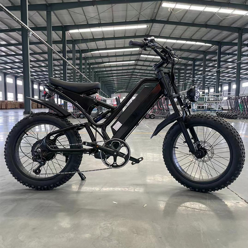 750w モーター 後部ハブ リチウムバッテリー 山地車両の電気パワートレイン