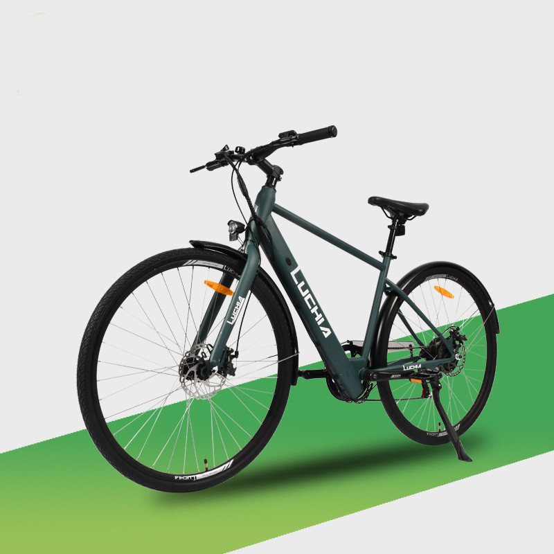 電動都市自転車 48v/36v 電動自転車 250W/350W/500W/750W/1000W